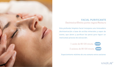 Facial Purificante